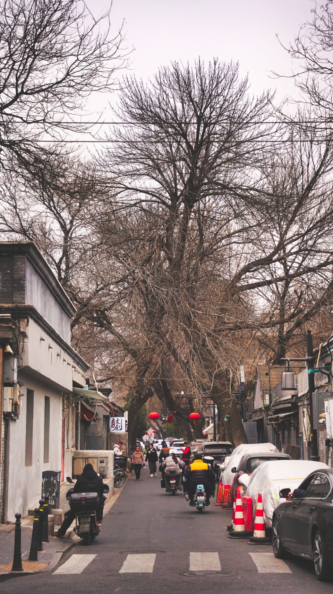 A hutong lane in central Beijing lined with grey courtyard walls, parked cars, scooters and old trees receding into the distance
